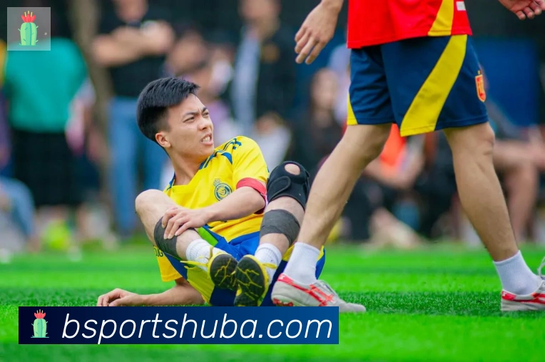 BSPORTS平台生态图