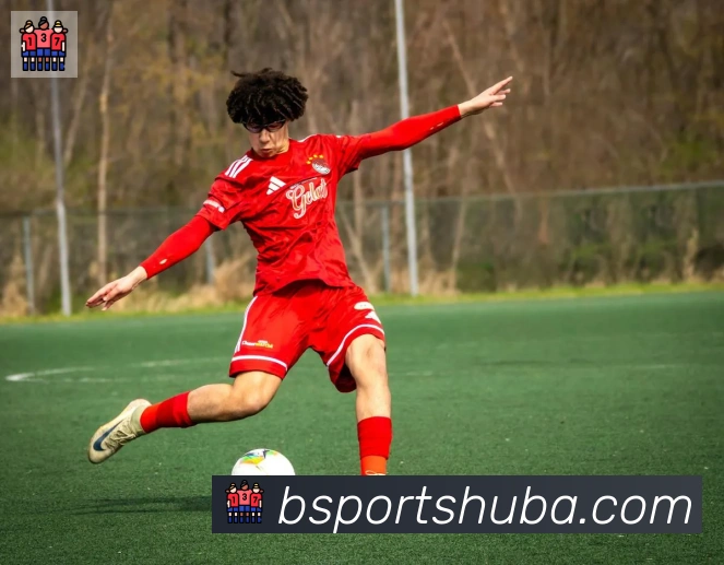 BSPORTSAPP 封面图